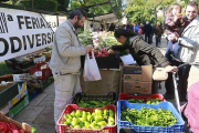 Muchas familias aprovecharon el buen tiempo para hacer compras saludables gracias a esta feria organizada por UCCL.-RAÚL G. OCHOA