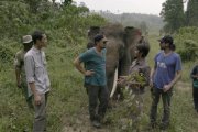 Leonardo DiCaprio, con Farwiza Farhan y Rudi Putrae, en Indonesia, en la grabación del documental 'Before the flood'.-RatPac Documentary Films / National Geographic Channels