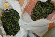 En el registro de la nave se han aprehendido 450
gramos de marihuana localizados en el interior de un frigorífico. ECB
