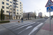 Un peatón cruza con su perro por uno de los pasos elevados ubicados en este caso en la avenida Castilla y León.-ISRAEL L. MURILLO