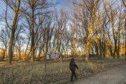 La zona norte del parque de Fuentes Blancas, desde el bulevar hasta el Humedal, es la que se incluiría en la nueva remodelación.-ISRAEL L. MURILLO
