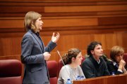 El portavoz de Podemos, Pablo Fernández, durante el Pleno de las Cortes de Castilla y León-Ical