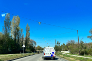 No es raro ver una pata seguida en hilera por varias de sus crías en el entorno más verde del bulevar de Burgos. Hoy una de estas familias de ánades que buscan en la zona el verde y la cercanía del río Arlanzón y Fuente Prior, se han encontrado con dos peatones y unos cívicos conductores que no han dudado en parar hasta que la familia ha cruzado al otro lado. 