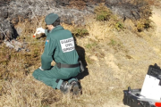 El Seprona investigó el incendio y todos los motivos apuntan a una quema intencionada para limpiar el monte y favorecer el pasto del ganado.