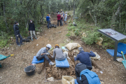 Yacimientos de Atapuerca, Elefante. ISRAEL L. MURILLO