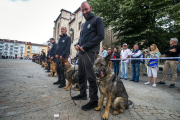 Imagen de guías con sus perros