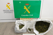 La inspección de la bolsa reveló la presencia de una sustancia vegetal con características visuales, olfativas y táctiles compatibles con la marihuana.
