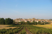 Los viñedos rodean la localidad de Anguix