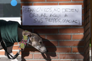 Un cartel de prohibido orinar perros.