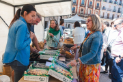 Mercado gastronómico de 'Días de Cerezas' en la Plaza Mayor.