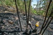 Botellas en la zona incendiada.