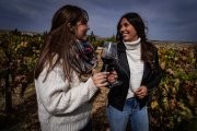 La Ribera del Duero es la tercera ruta vinícola más visitada de España