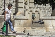 El servicio está encargado, entre otras labores, del control de las  palomas.