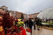 Muchas personas se acercaron a conocer esta propuesta situada en la Plaza Mayor.