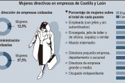 Mujeres directivas en empresas de Castilla y León (15cmx7cm).
