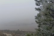 La niebla continuará en Burghos en la recta final del año.