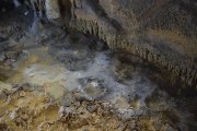 Huellas oso en la Cueva Honseca.