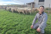 Sergio Lázaro tiene 500 ovejas en Oquillas (Burgos)
