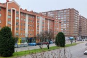 A mediodía de este domingo los primeros copos cayeron tímidamente y casi de forma imperceptible en la ciudad de Burgos.