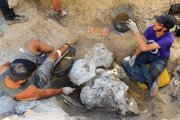 Los restos se recuperaron en la excavación en Torrelara de 2019.