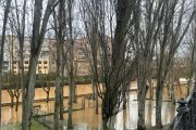 Imagen de hoy de la ribera del río Duero a su paso por Aranda, a la altura del Ayuntamiento