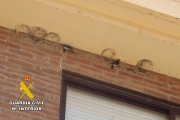 Un hombre de 78 años, identificado por la Guardia Civil tras destruir 16 nidos de golondrina.