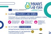 Cartel de Pinares Lab.