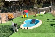 Centro Canino Las Cortes.