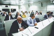 Un momento de la reunión de la Comisión de Despoblación en el Senado.