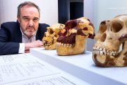 El director gerente del Museo de la Evolución Humana, Rodrigo Alonso, junto a la consola de material didáctico adaptada a personas ciegas.
