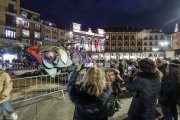 Un momento de la exposición de la sardina en la Plaza Mayor, antes del entierro.