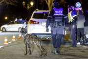 Muchos de los controles de la Policía Local de Burgos se refuerzan con la Unidad Canina en busca de drogas.