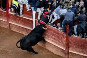 Herido grave por asta de toro durante la capea celebrada en la tarde de este sábado en el marco del Carnaval del Toro, en Ciudad Rodrigo (Salamanca).