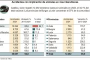 Accidentes con implicación de animales en vías interurbanas (15cmx8cm).