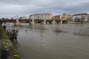 Imagen de la crecida del Ebro a su paso por Miranda el pasado 17 de febrero.
