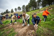 Instante de la plantación de especies en la ladera del Castillo con motivo del Día Mundial del Árbol.