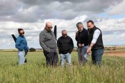 Gowan controla varios campos de ensayo en Burgos y Castilla y León