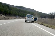 Ejemplar de buitre leonado muerto en la N-622 a su pasó por la localidad palentina de Quintana del Puente.