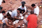 Excavación que culminó con el hallazgo de fósiles del 'Demandasaurus'