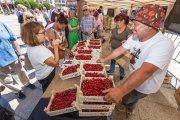 Uno de los puestos donde los burgaleses adquirieron las cerezas del Valle de las Caderechas directamente de los productores.