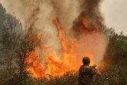 Incendio en la provincia de Ávila