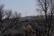 Tierra quemada por un incendio forestal en Fornillos de Fermoselle.