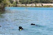 Miembros del GEAS, en el embalse de Tórtoles de Esgueva.