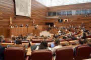 Segunda jornada del pleno de las Cortes de Castilla y León, que se retoma en el sexto punto del orden del día, relativo a interpelaciones.