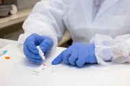 Archivo - Guantes de nitrilo del personal sanitario como los ofrecidos por el encausado.