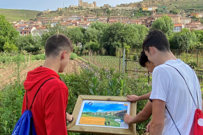 Alumnas observan uno de los carteles de la ruta.
