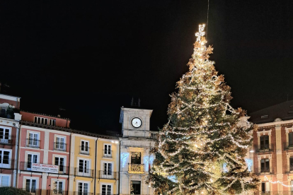 El pino de Navidad de Plaza Mayor ya está decorado.