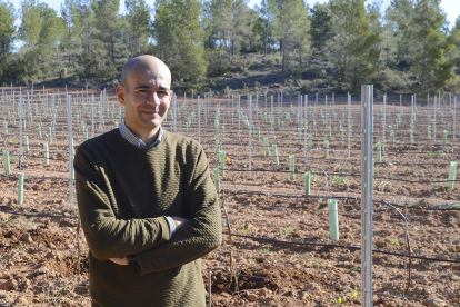 Diego S. Intrigliolo posa en un viñedo de Ribera del Duero