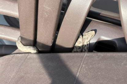 La víbora se encaramó hasta la parte alta de una torre de sillas de la terraza que no tenía público en ese momento.
