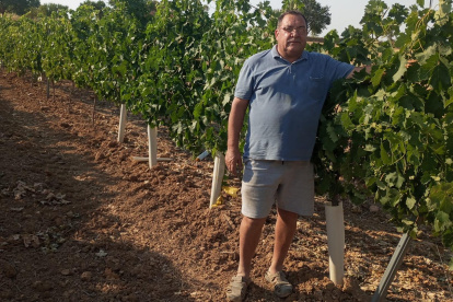 Francisco acaba de cosechar trigo y cebada